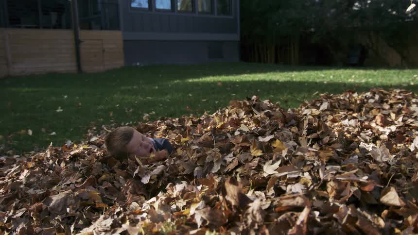 A male child holding a football runs and dives into a leaf pile outdoors in a yard during daytime