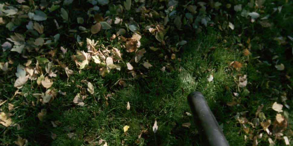 The dark nozzle of a leaf blower is directed toward a green grass lawn covered with fallen leaves and moves to clear a patch of the ground