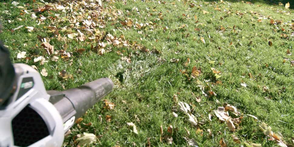 A gloved hand runs an ego power leaf blower pushing a trail of dry leaves across sunlit grass