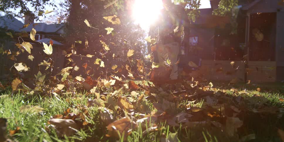 In a sun drenched backyard a man uses a leaf blower to send autumn leaves flying into the air captured in slow motion