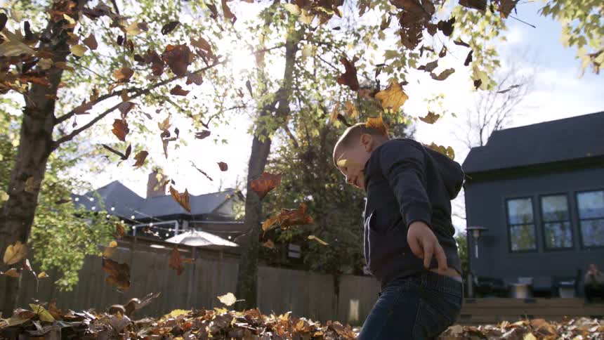 A boy throwing leaves from a leaf pile in the air while playing outdoors in a yard during daytime