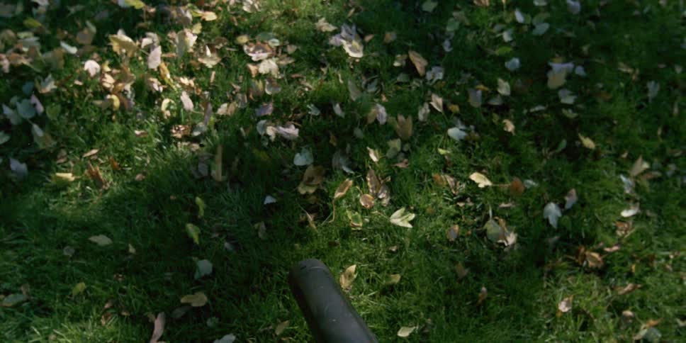 Person walking around and blowing leaves with a leaf blower outdoors during day time