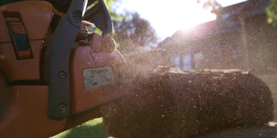 A close up of an orange husqvarna chainsaw cutting into a log in bright afternoon sunlight with wood dust floating in the air and a house and yard softly blurred in the background