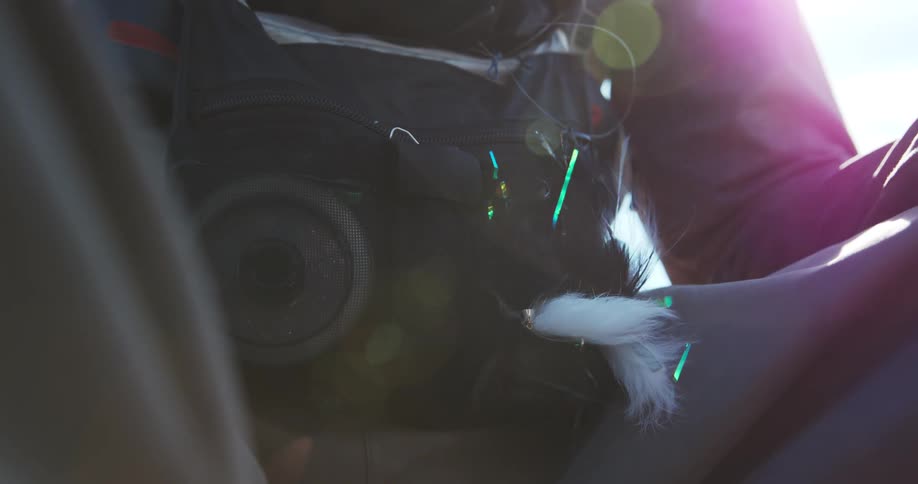 Backpack with attached lens and microphone windscreen under reflected light