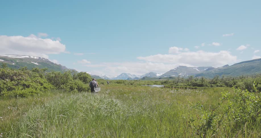 Person walks through a green field toward snowcapped mountains