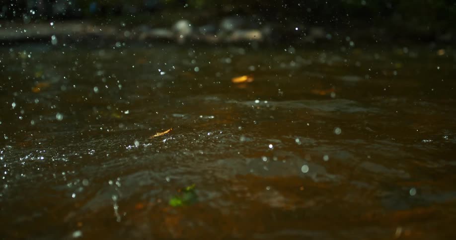 A stick splashes into a shallow stream sending ripples outward and creating a brief puddle effect on the waters surface