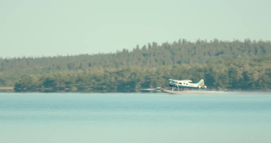Seaplane taking off over the water with a forest in the background