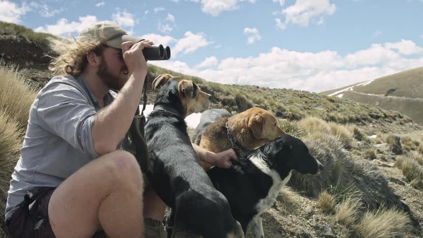 The man is sitting on a hill with his dogs and using binoculars