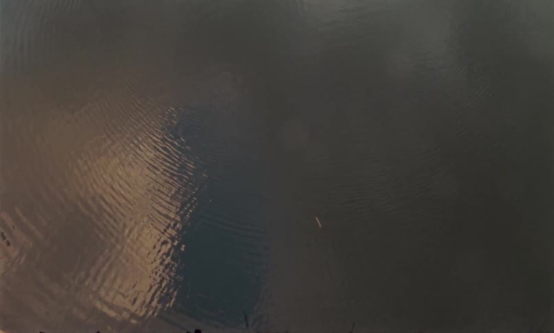 Person diving into a calm river at sunset