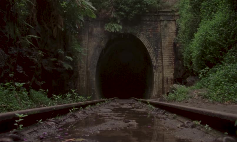 Train tracks leading to the dark entrance of a tunnel surrounded by dense vegetation