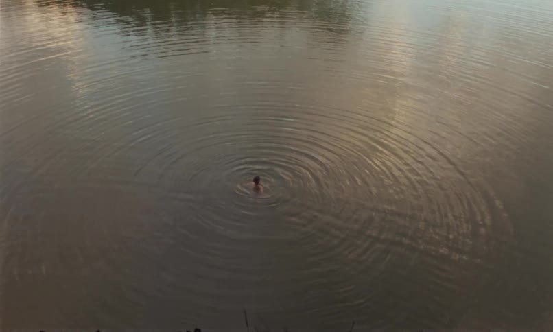 Person swims alone in a calm lake creating ripples in the water