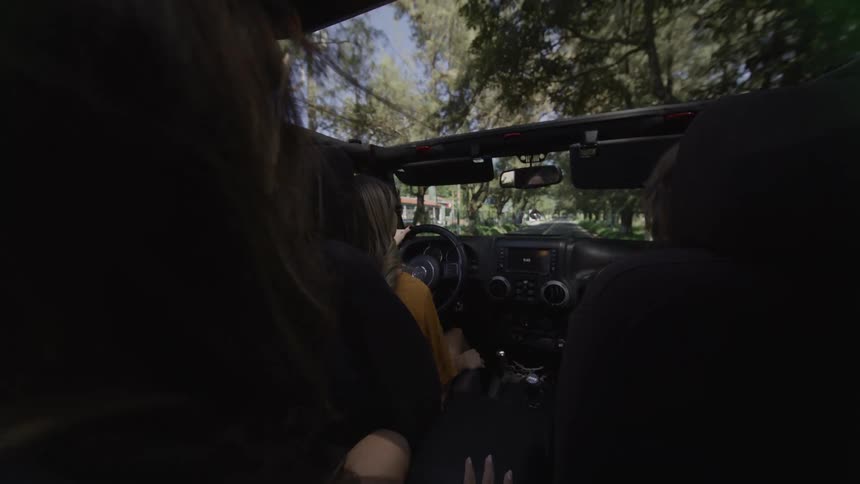 Three women drive through the woods at midday in an openroof car enjoying a road trip together