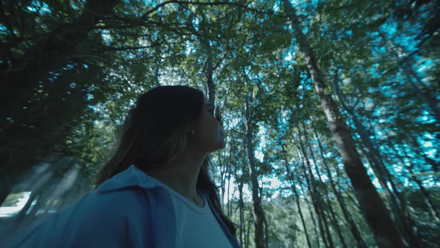 Person walking through a forest lit by soft light filtering through the trees
