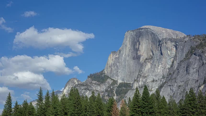 Trees surround a rocky area in the wild on a sunny day