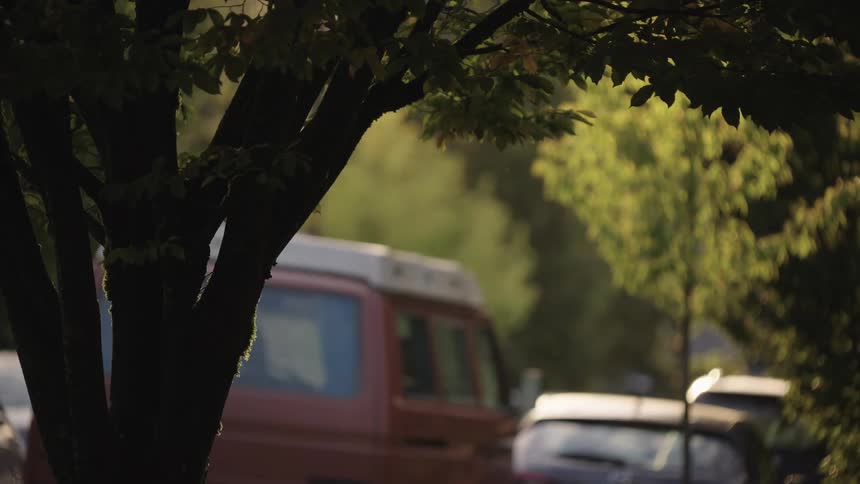 Van parked beside silver car in wooded area with soft light filtering through branches