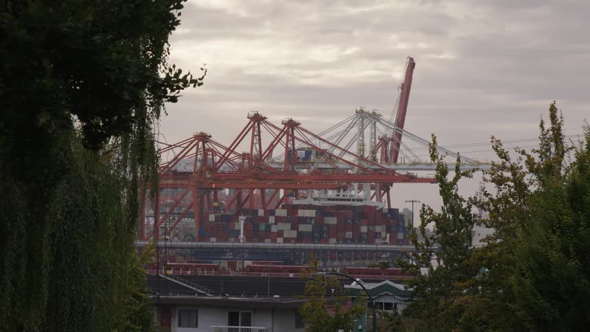 Orange cranes and stacks of containers at a port seen between trees