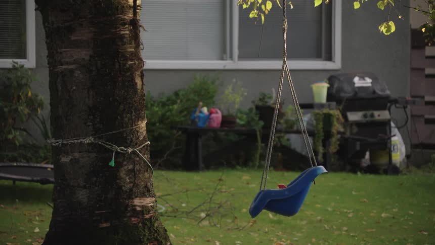 Blue child swing seat hangs from a tree in a quiet backyard
