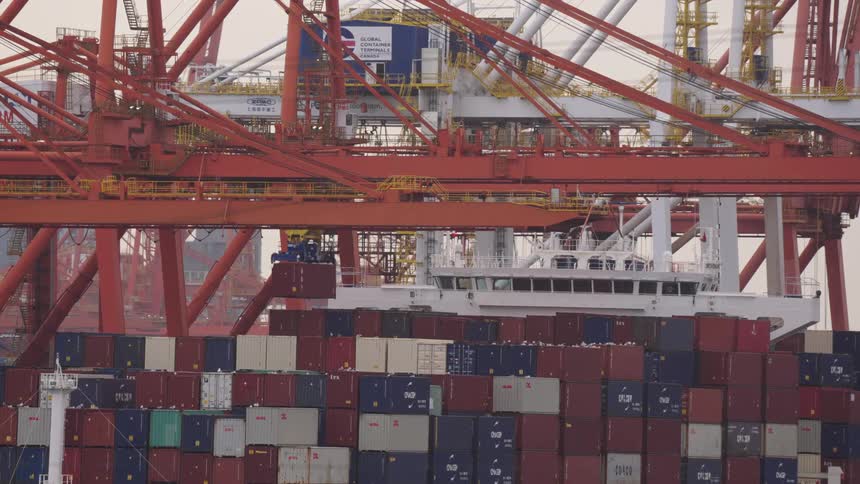 Orange cranes move stacked containers in an industrial port