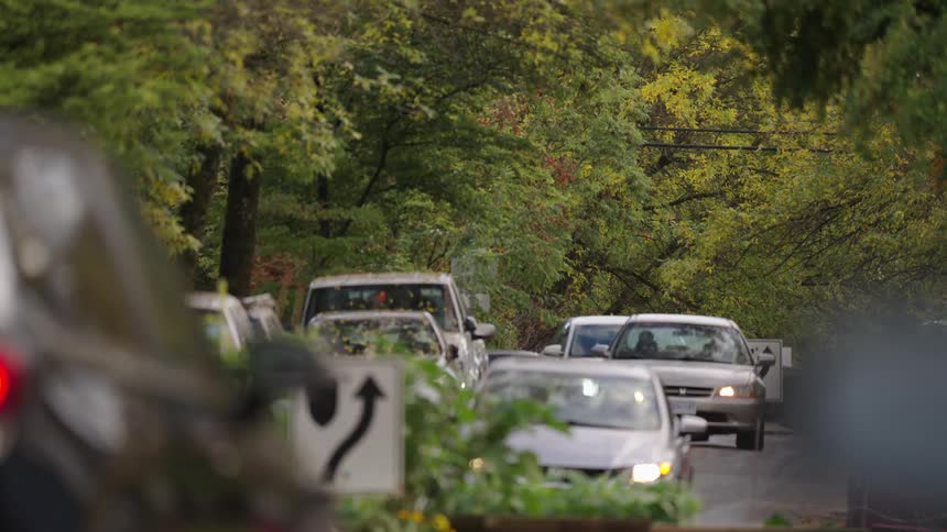 Cars drive on the road by the forest
