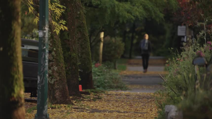 A man in a dark suit walks away down a sundappled treelined path in an urban park or residential area during the autumnal season the focus shifts between the foreground trees and the figure creating a sense of depth and movement