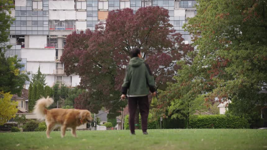 A person walks a golden retriever in a lush green park with a large apartment building featuring colorful patchworkstyle window panels in the background the scene depicts a quiet urban park setting on a cloudy day with a large redleafed tree promine