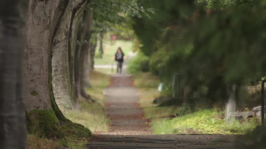 A longfocus shot captures a person walking a treelined park path away from the camera giving the sense of a quiet peaceful urban or suburban street the path is covered in autumn leaves and the person is out of focus emphasizing the atmosphere of th