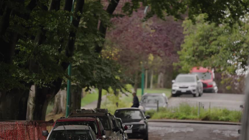 Cars parked in a treelined urban area with a person walking by in the background