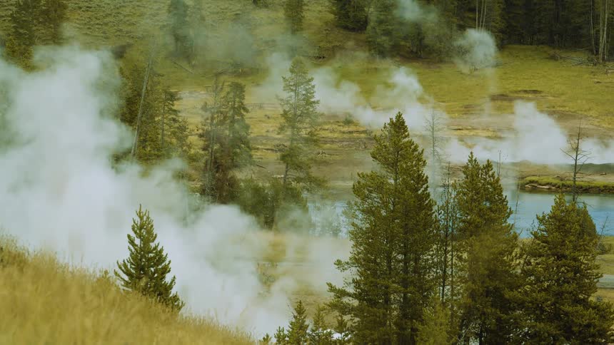 Steam rises among the trees in a geothermal area
