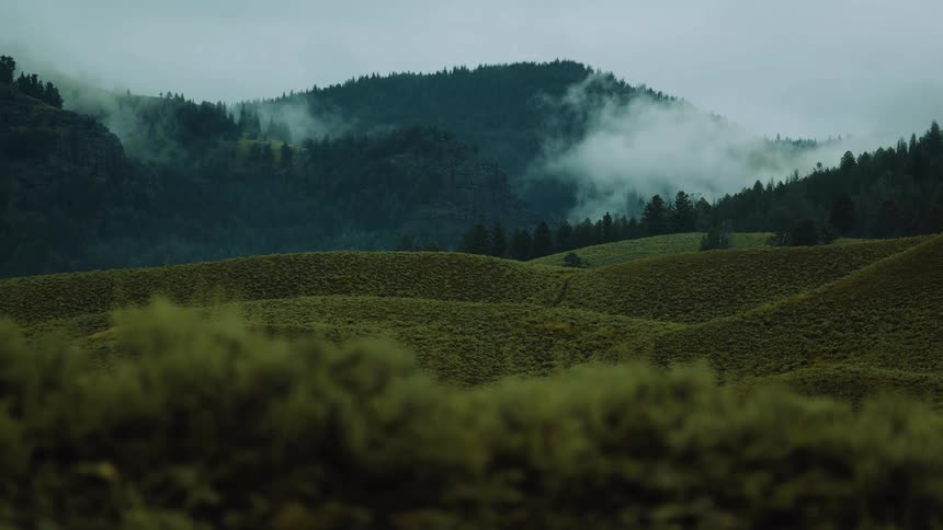 Green hills covered in mist before forested mountains