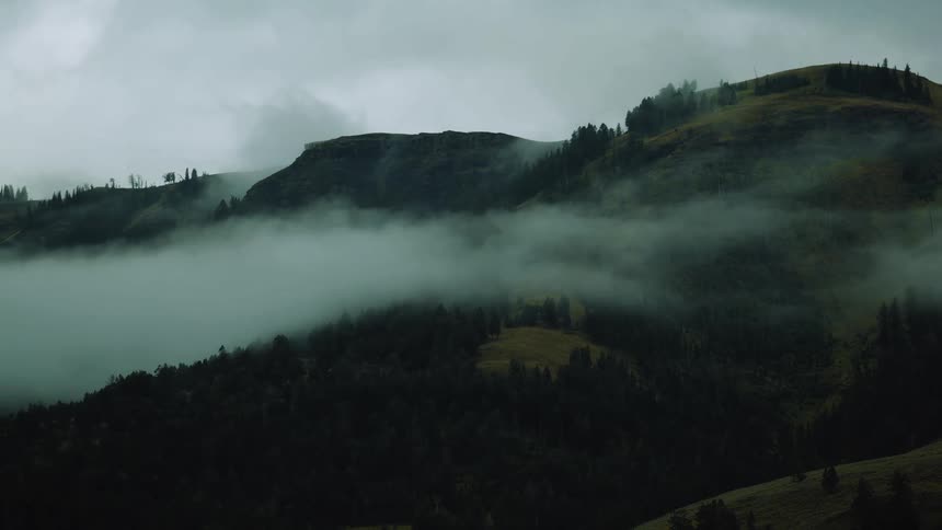 Layers of mist drift between mountains covered with forests and dark green vegetation