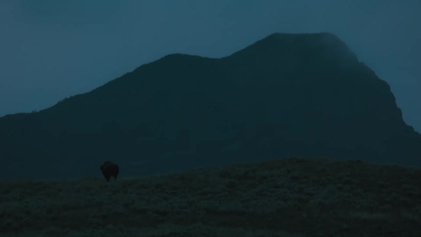 Silhouette of a lone bison in front of a mountain at dusk