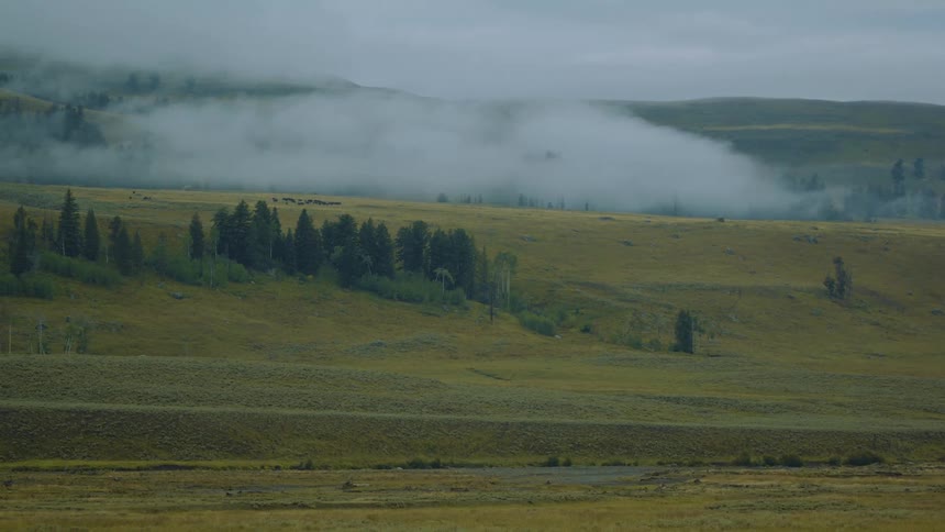 Aerial of a grassland and woodland landscape partly covered with fog during daytime