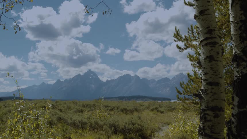 The video clip is a wide landscape shot showing a mountain range under a partly cloudy blue sky framed by birch tree trunks and yellowgreen brush in the foreground the scene has a peaceful open and natural feel with the peaks visible in the distance