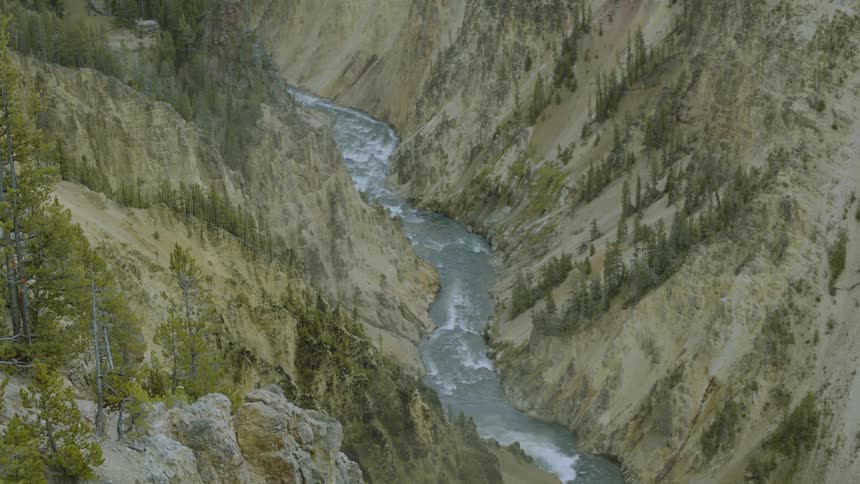 A turquoise river snakes through a steep pine studded canyon of weathered tan rock under soft morning light