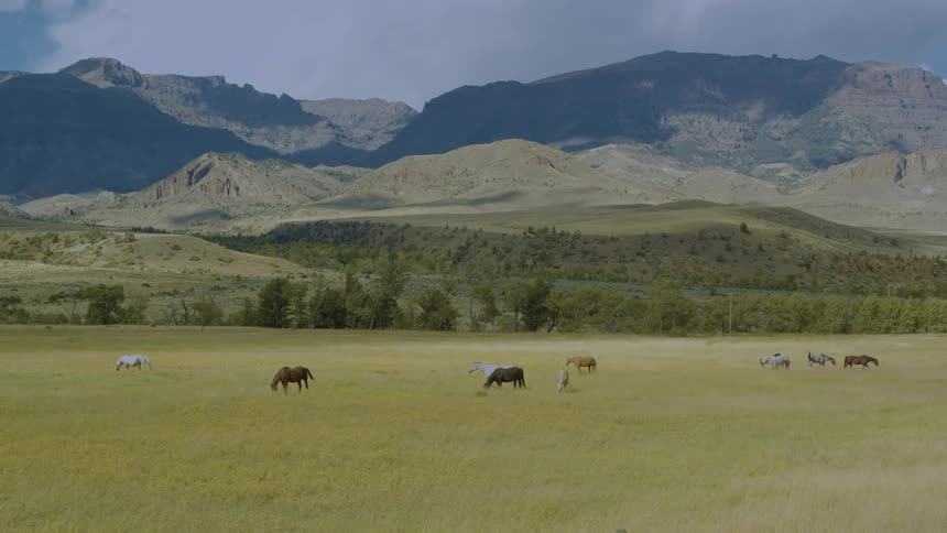 Horses graze in open field before mountains under partly cloudy sky