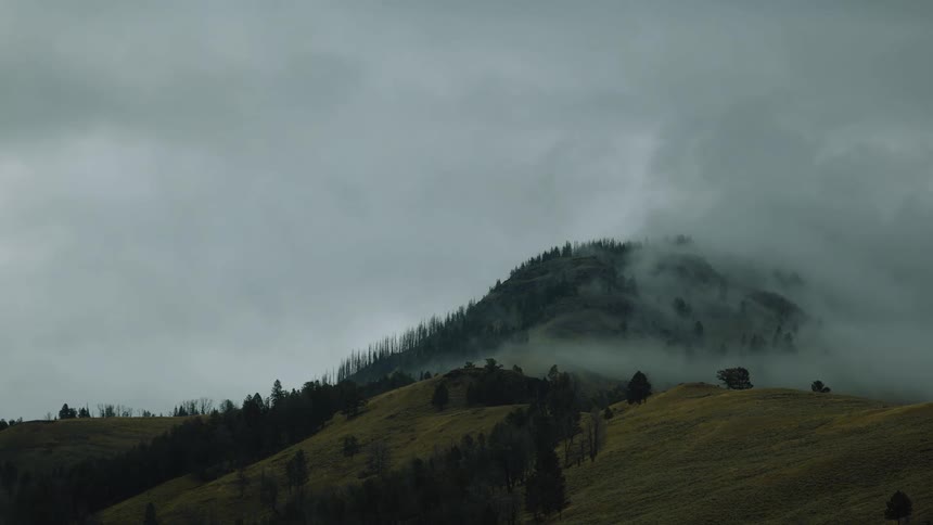 Aerial of a hill covered with green vegetation and fog during daytime