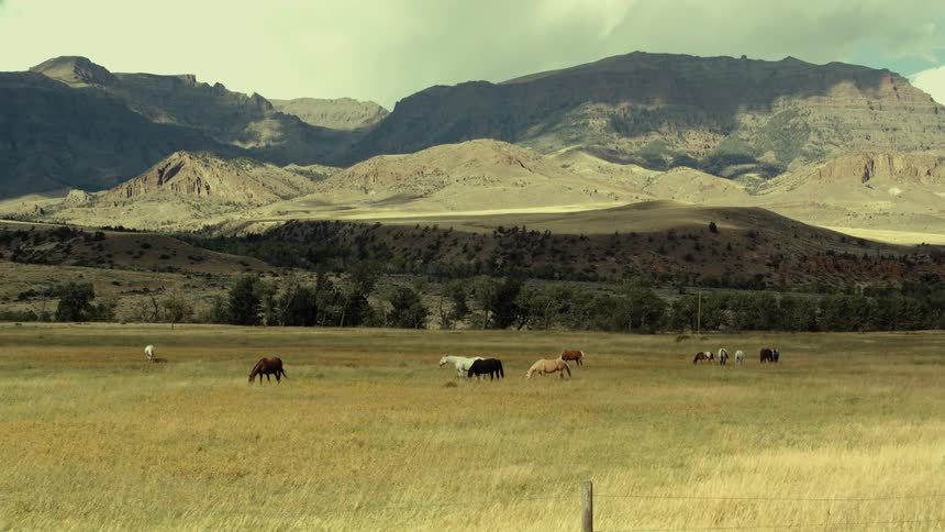 Horses graze in a sunlit field surrounded by rocky mountains