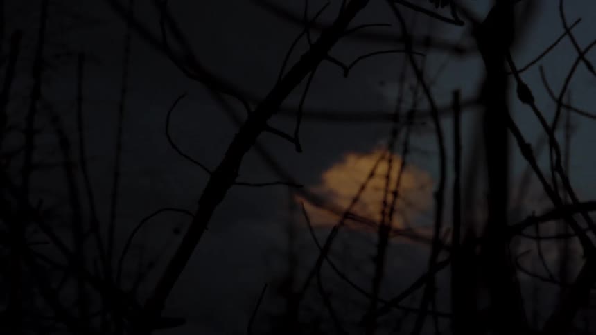 The video clip shows an outdoor nighttime shot of a burnt forest landscape with the silhouettes of bare charred tree trunks and branches in the foreground a full or nearly full orange moon is partially visible through the branches creating an eerie gl