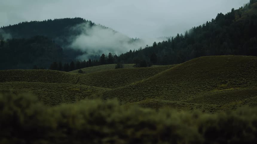 Mist hovers over green hills surrounded by dense forests