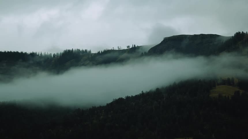 Aerial of a green forest landscape partly covered with fog during daytime