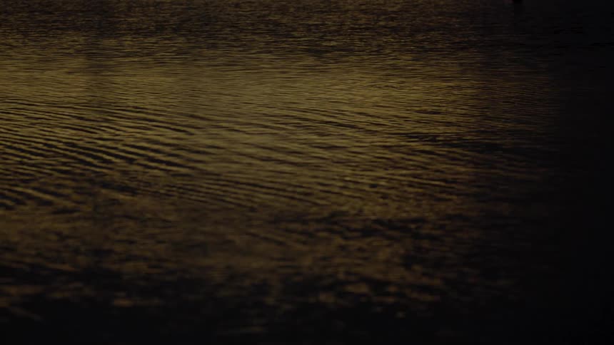 Golden sunset reflection spreads across the rippled water surface