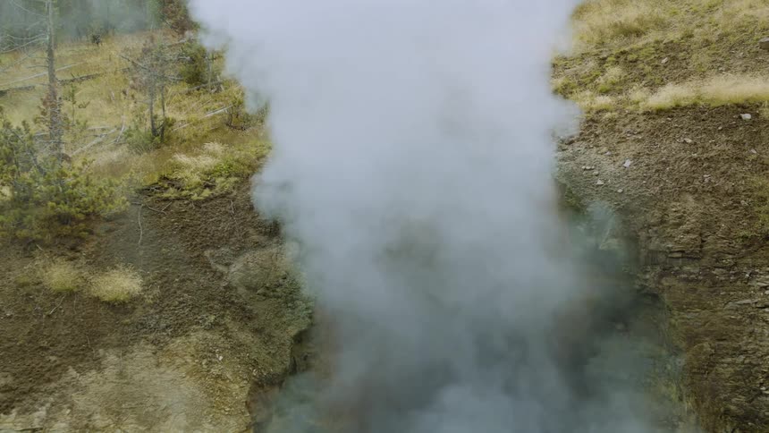 Thick steam rises from a crack in the ground surrounded by dry vegetation