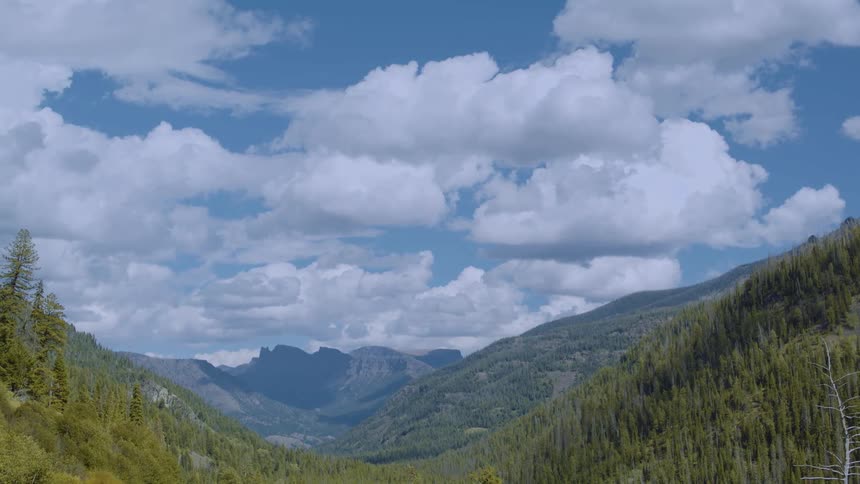 The mountains on the landscape are covered with trees