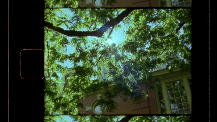 This vintagestyle clip is shot from a low angle looking up through the dense green canopy of trees towards a bright sky the shot is dominated by an intense sun flare and light streak effect
