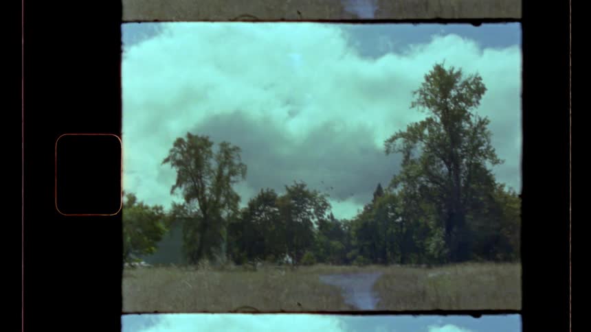 This vintage film clip is a wideangle shot of a flock of birds flying high in a partially cloudy pale blue sky before the camera pans down to reveal a tree line and a grassy field the video is framed by film sprockets and borders