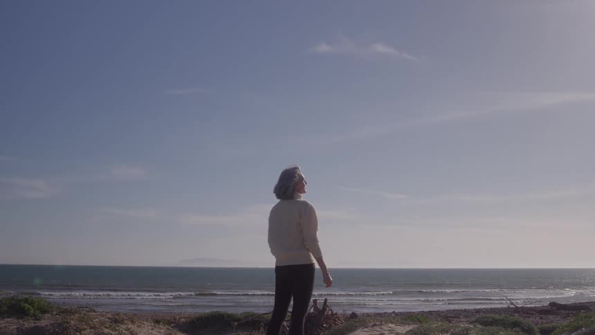 Woman gazes at the horizon by the seaside under a clear sunny sky