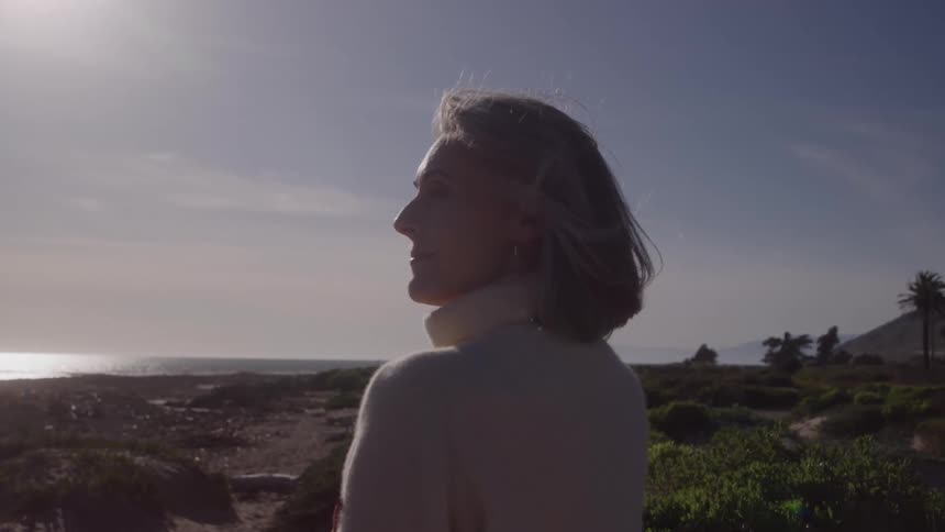 The woman is looking out over the beach