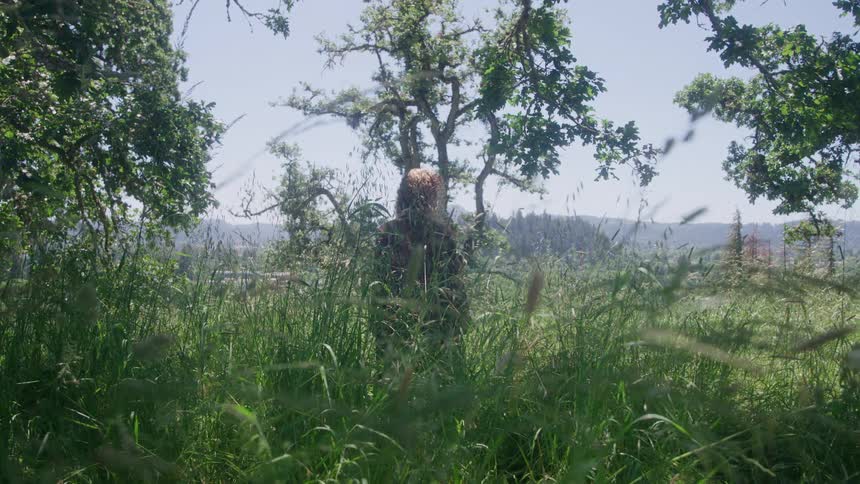 A young woman stands in tall grass between oak trees facing distant hills on a bright day