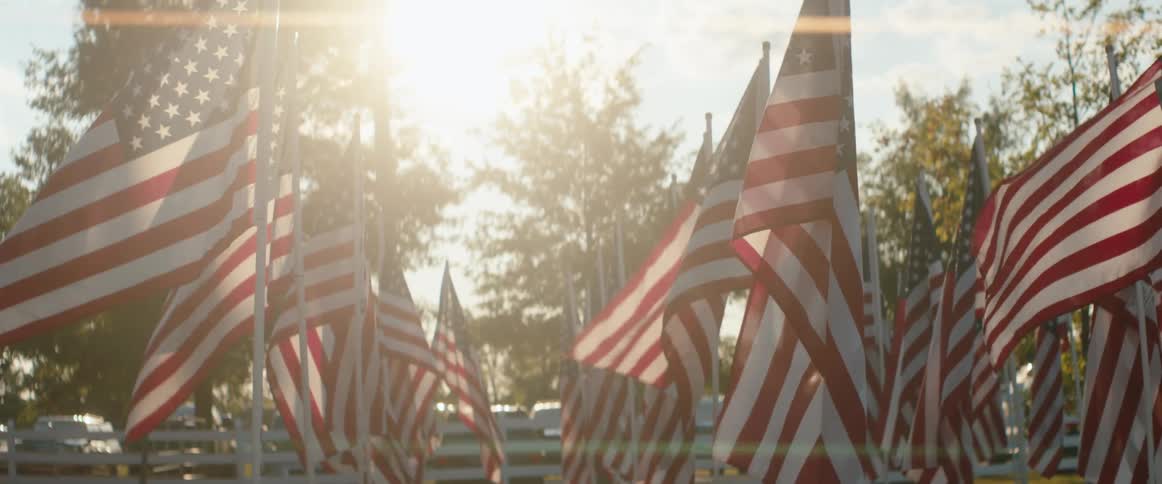 American flags wave under the afternoon sunlight