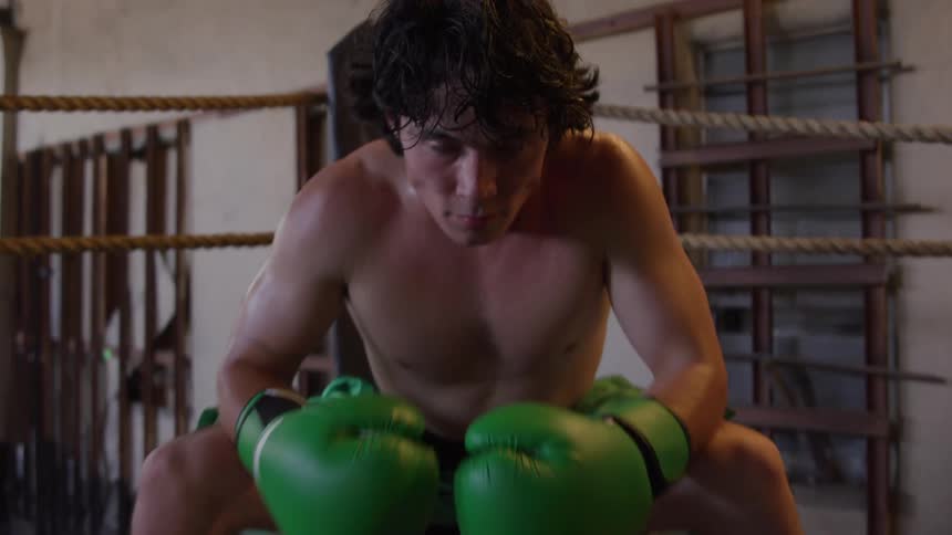 Boxer with a firm posture and determined look